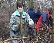Volunteer helping to make a 'dead hedge' fence.
