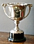 The IAC Trophy for best Story.