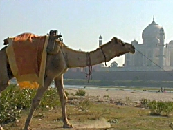 Still from 'For a Few Rupees'.
